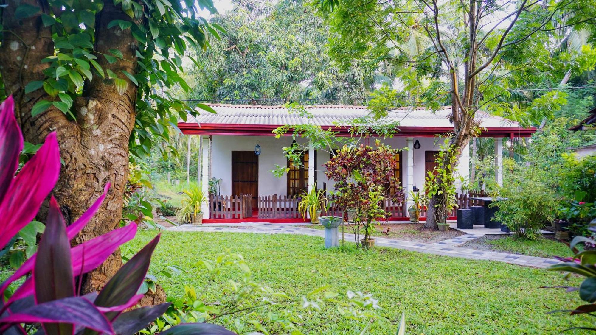 דמבולה Lake Island Home Stay מראה חיצוני תמונה